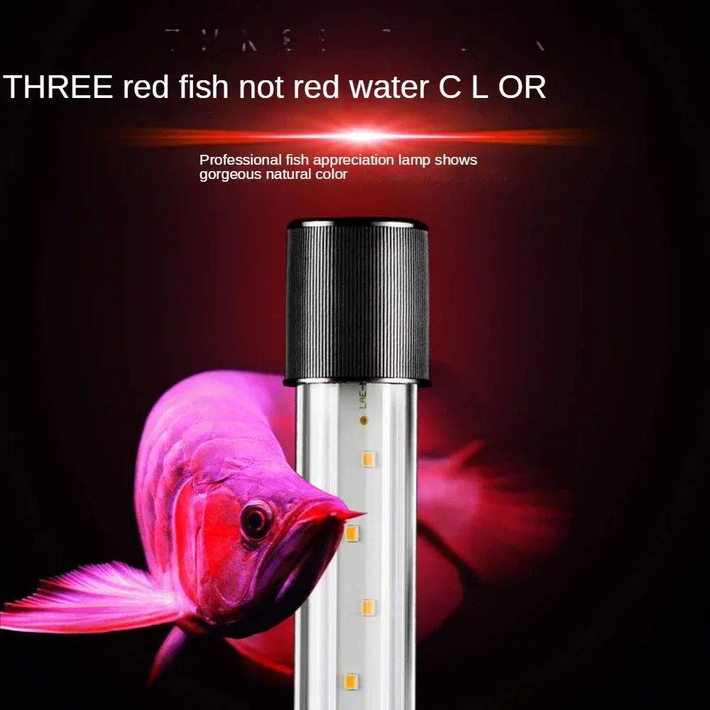 Arowana-Lampe, LED-Aquarium-La – Aquarium Fish Parrot Bewertung und Preis